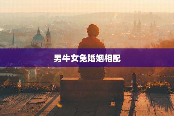 男牛女兔婚姻相配