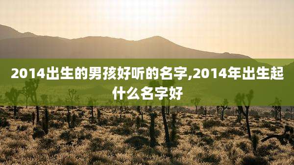 2014出生的男孩好听的名字,2014年出生起什么名字好