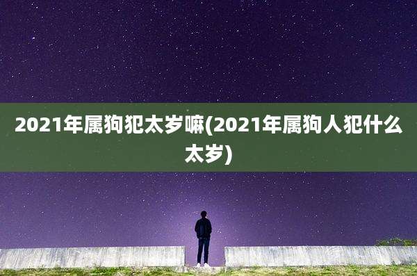 2021年属狗犯太岁嘛(2021年属狗人犯什么太岁)