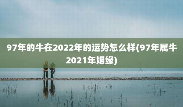 97年的牛在2022年的运势怎么样(97年属牛2021年姻缘)