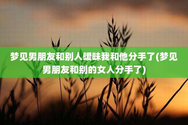 梦见男朋友和别人暧昧我和他分手了(梦见男朋友和别的女人分手了)