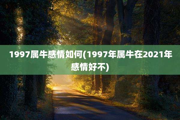 1997属牛感情如何(1997年属牛在2021年感情好不)