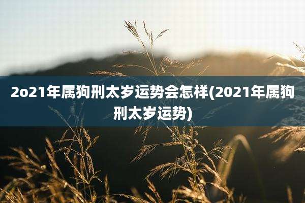 2o21年属狗刑太岁运势会怎样(2021年属狗刑太岁运势)