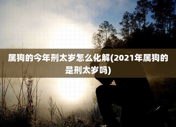 属狗的今年刑太岁怎么化解(2021年属狗的是刑太岁吗)