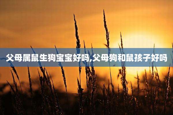 父母属鼠生狗宝宝好吗,父母狗和鼠孩子好吗