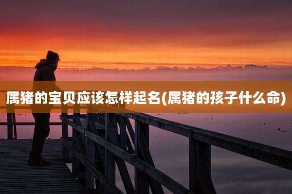 属猪的宝贝应该怎样起名(属猪的孩子什么命)