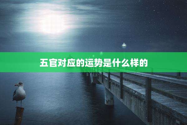 五官对应的运势是什么样的