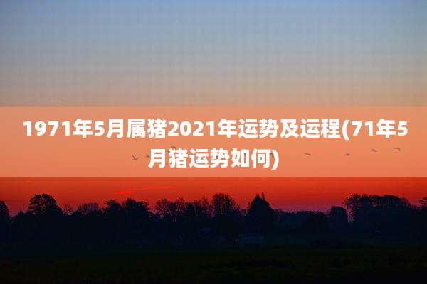 1971年5月属猪2021年运势及运程(71年5月猪运势如何)