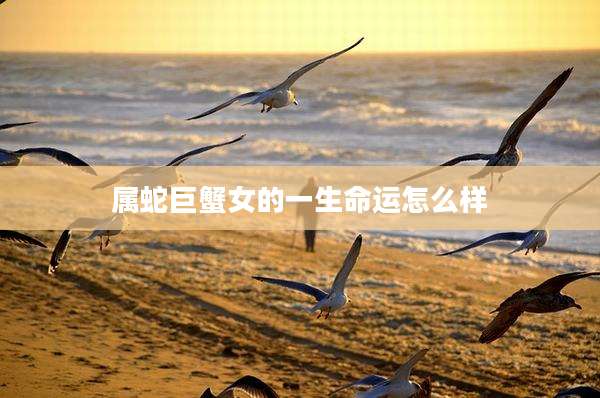 属蛇巨蟹女的一生命运怎么样