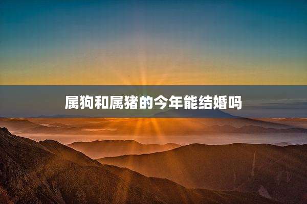 属狗和属猪的今年能结婚吗