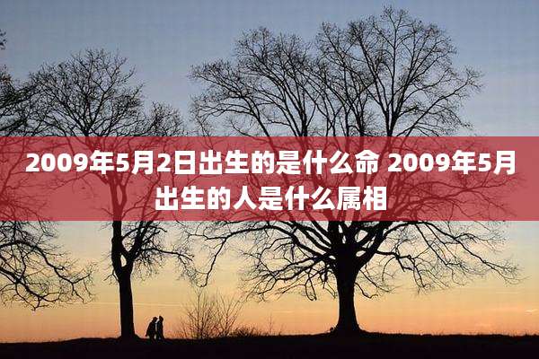 2009年5月2日出生的是什么命 2009年5月出生的人是什么属相