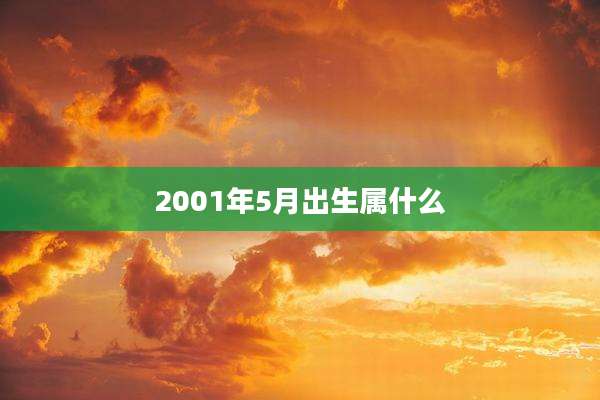 2001年5月出生属什么