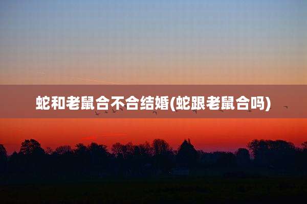 蛇和老鼠合不合结婚(蛇跟老鼠合吗)