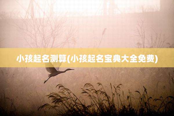 小孩起名测算(小孩起名宝典大全免费)