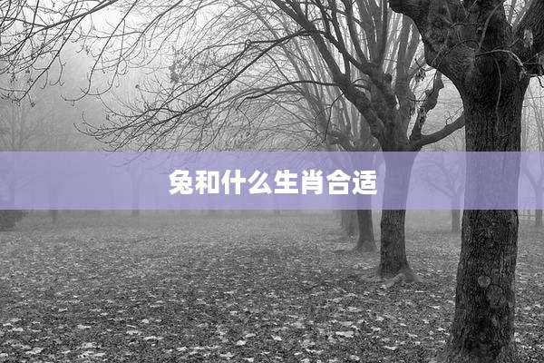 兔和什么生肖合适