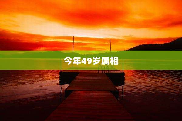 今年49岁属相