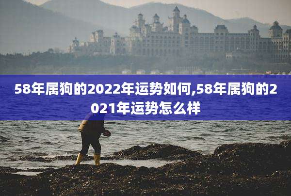 58年属狗的2022年运势如何,58年属狗的2021年运势怎么样