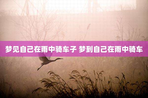 梦见自己在雨中骑车子 梦到自己在雨中骑车