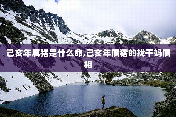 己亥年属猪是什么命,己亥年属猪的找干妈属相