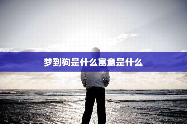 梦到狗是什么寓意是什么
