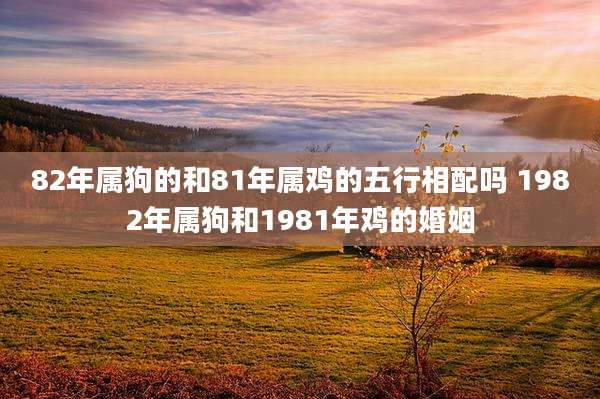 82年属狗的和81年属鸡的五行相配吗 1982年属狗和1981年鸡的婚姻