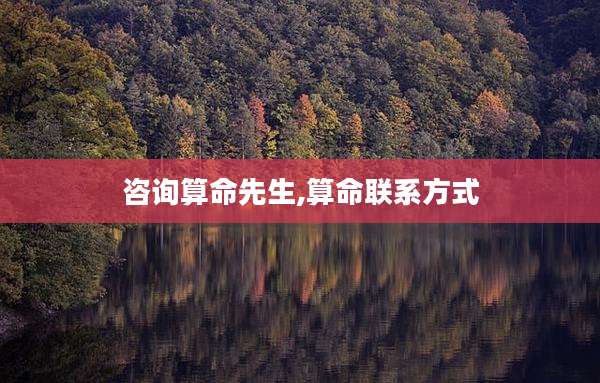 咨询算命先生,算命联系方式