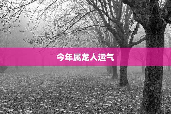 今年属龙人运气