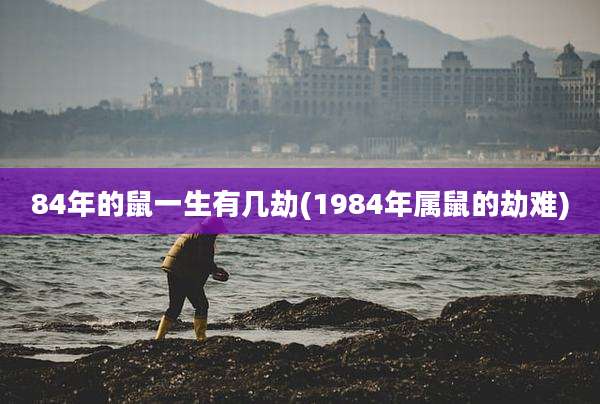 84年的鼠一生有几劫(1984年属鼠的劫难)