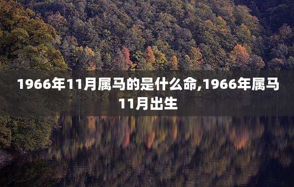 1966年11月属马的是什么命,1966年属马11月出生