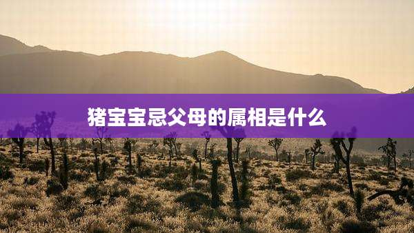 猪宝宝忌父母的属相是什么