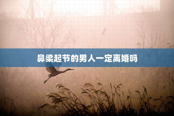 鼻梁起节的男人一定离婚吗