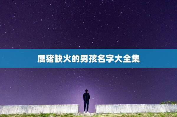 属猪缺火的男孩名字大全集