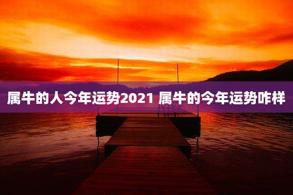 属牛的人今年运势2021 属牛的今年运势咋样