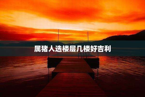 属猪人选楼层几楼好吉利