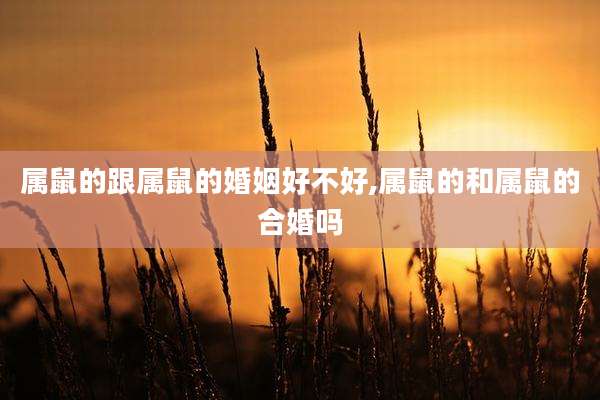 属鼠的跟属鼠的婚姻好不好,属鼠的和属鼠的合婚吗