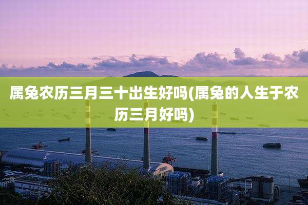属兔农历三月三十出生好吗(属兔的人生于农历三月好吗)