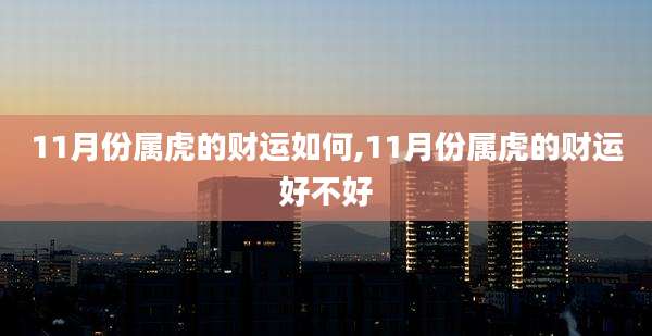11月份属虎的财运如何,11月份属虎的财运好不好