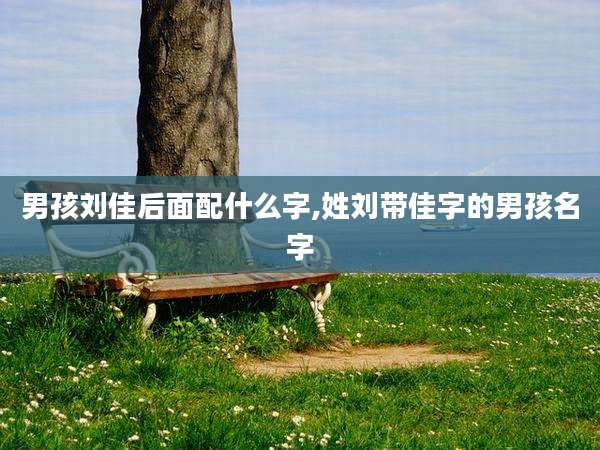 男孩刘佳后面配什么字,姓刘带佳字的男孩名字