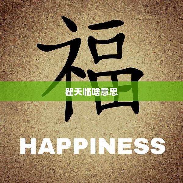 翟天临啥意思