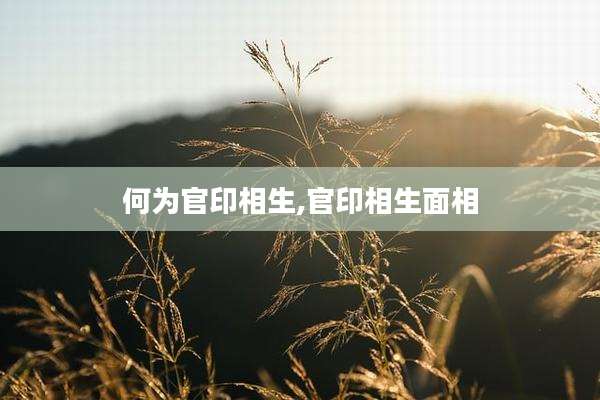 何为官印相生,官印相生面相