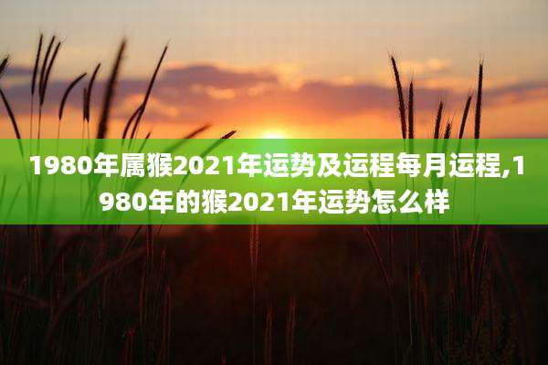 1980年属猴2021年运势及运程每月运程,1980年的猴2021年运势怎么样