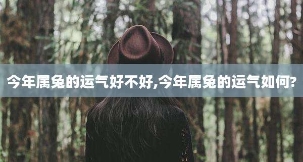今年属兔的运气好不好,今年属兔的运气如何?