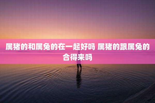 属猪的和属兔的在一起好吗 属猪的跟属兔的合得来吗