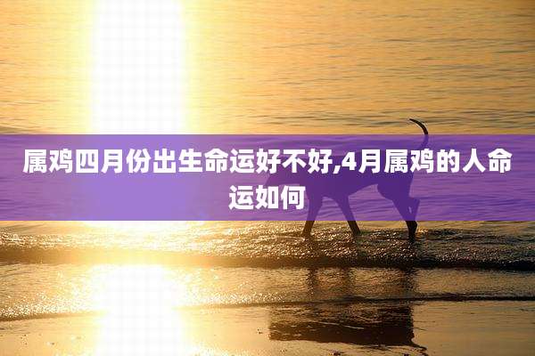 属鸡四月份出生命运好不好,4月属鸡的人命运如何