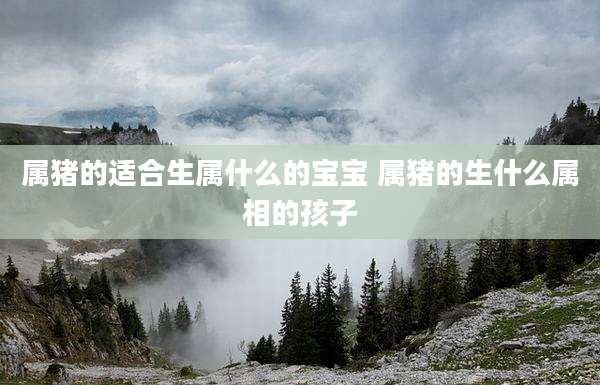 属猪的适合生属什么的宝宝 属猪的生什么属相的孩子