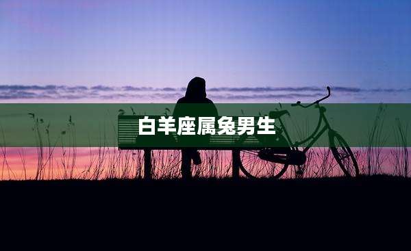 白羊座属兔男生