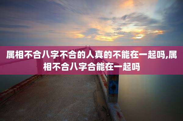 属相不合八字不合的人真的不能在一起吗,属相不合八字合能在一起吗