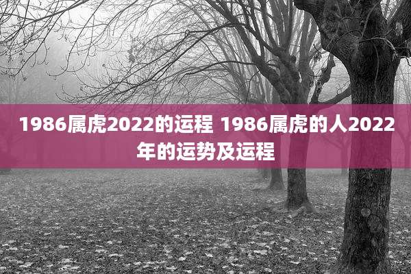 1986属虎2022的运程 1986属虎的人2022年的运势及运程