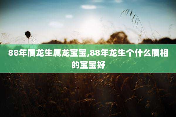 88年属龙生属龙宝宝,88年龙生个什么属相的宝宝好