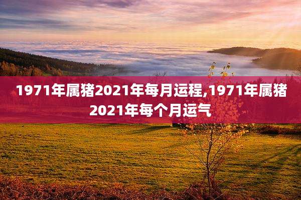 1971年属猪2021年每月运程,1971年属猪2021年每个月运气